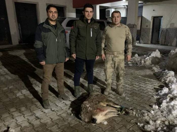 Van’da Yaban Keçisi Avlayan 2 Kişiye 314 Bin 576 Lira İdari Para Cezası Kesildi