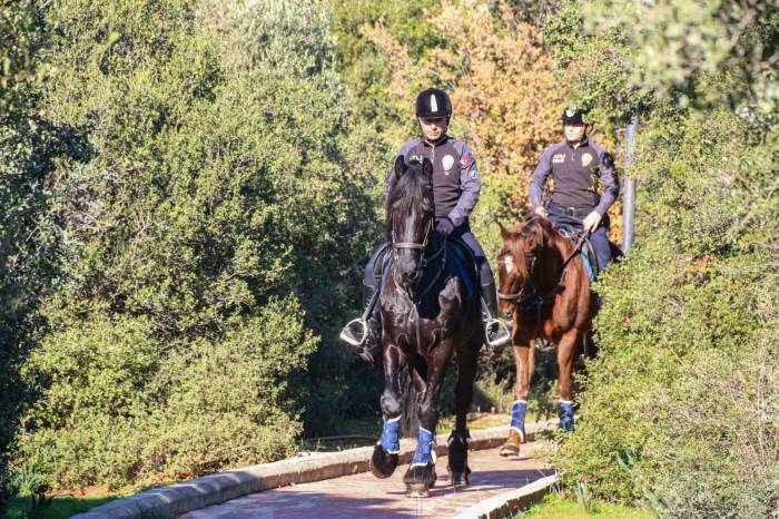 Antalya’nın Orman Ve Sahilleri Börü Ve Vinner’a Emanet