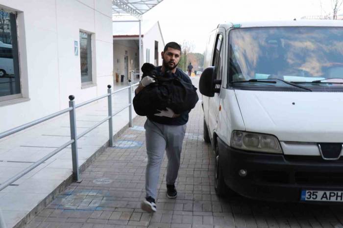 Masal’dan Geriye Hatıralar Kaldı