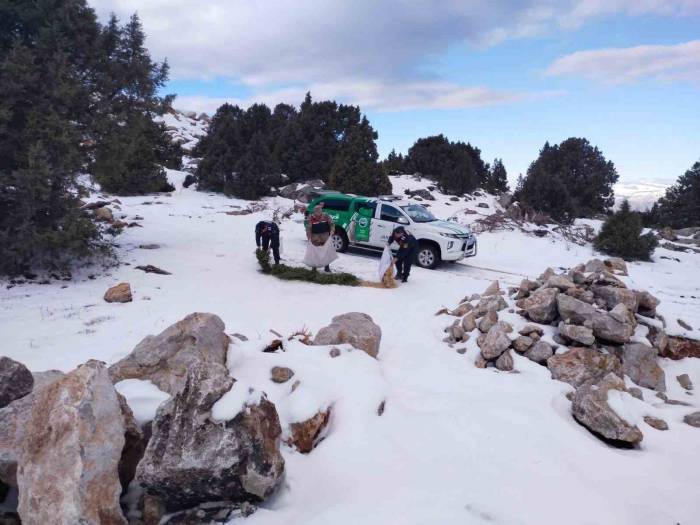 Jandarma Çevre Ve Doğa Koruma Timleri Yaban Hayvanlarını Unutmadı