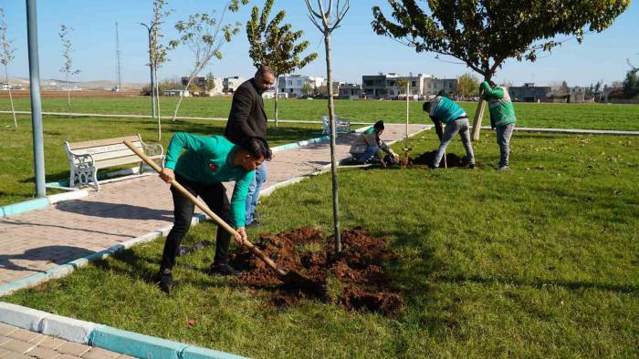 Başkan Canpolat İle Haliliye Belediyesi Üretime Devam Ediyor