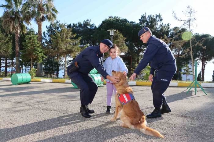 Jandarma Köpeği Rio’dan Miniklere Gösteri