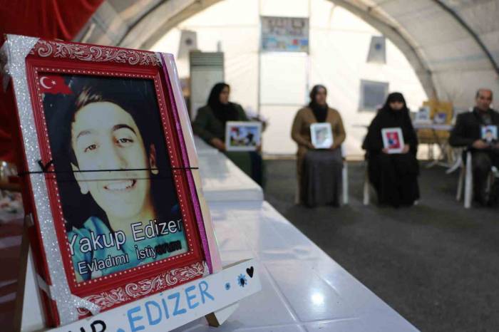 Diyarbakır Anneleri Yeni Yıla Evlat Hasretiyle Buruk Giriyor