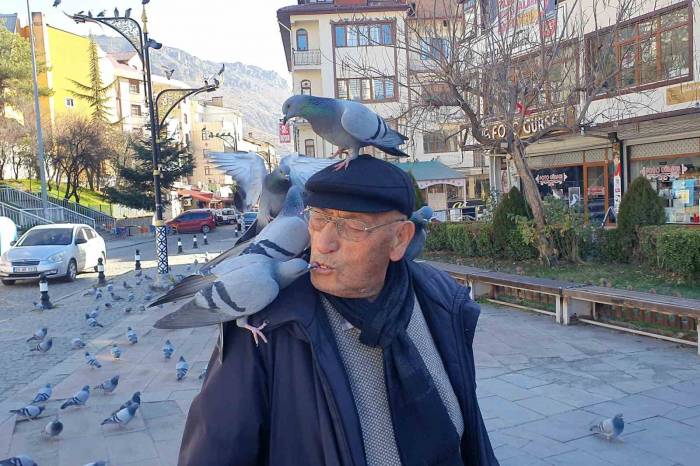 Güvercinleri Ağzıyla Besliyor