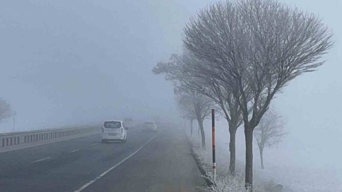 Bitlis’te Ağaçlar Kırağı Tuttu