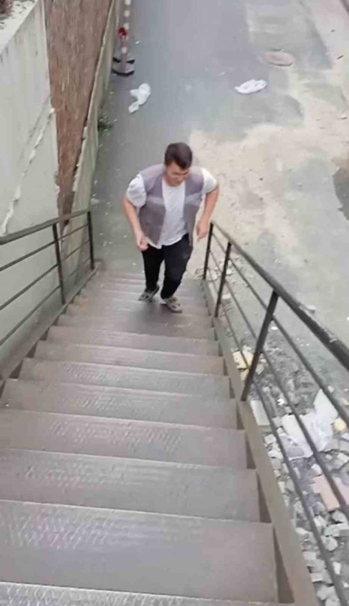 Kağıthane’de Tepki Çeken Görüntüler: Biri Kediye Taş Attı Diğeri O Anları Kameraya Aldı