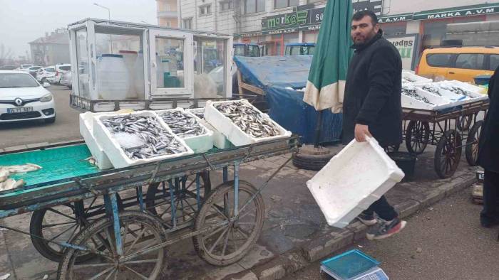 Malazgirt’te Balık Bolluğu Yaşanıyor