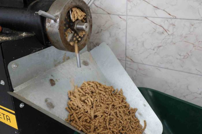 Büyükşehir Can Dostlar İçin Mama Üretiyor