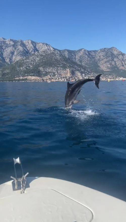 Yunus Balığının Balıkçılara Görsel Şöleni