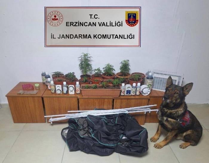 Erzincan’da Jandarma Ekipleri Suç Ve Suçluya Geçit Vermiyor