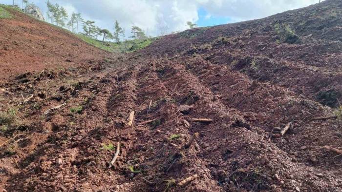 Marmaris’in İlk ’bal Ormanı’ İçin Tüm Hazırlıklar Tamamlandı