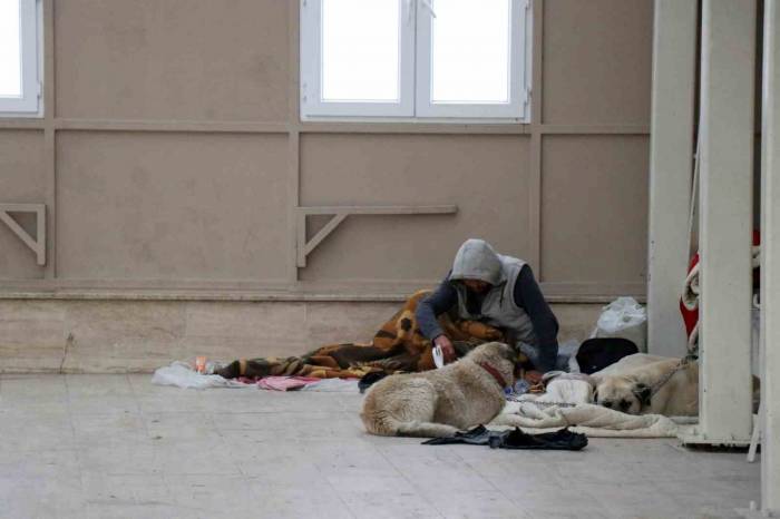 Köpekleriyle Şadırvanı Mesken Tuttu, Cami Cemaati Abdest Alamaz Oldu