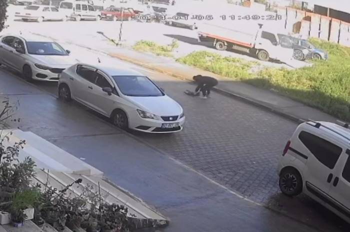 Otomobilin Çarpıp Kaçtığı Kedi, Sahibinin Kucağında Öldü