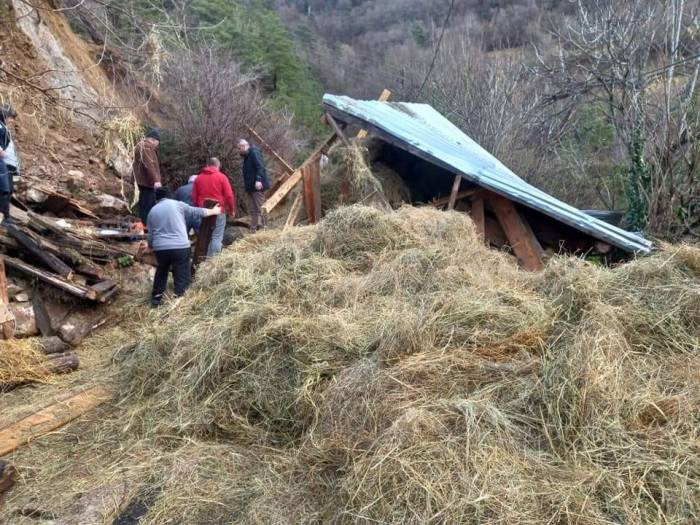 Artvin’de Ahır Çöktü: 2 Hayvan Telef Oldu