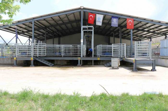 İnsan Sağlığını Koruyan Teknoloji İle Seri Ve Helal Kesim