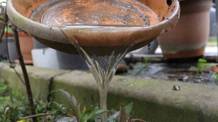 Yaz Sezonu Boyunca 127 Personelle Sivrisinekle Mücadele