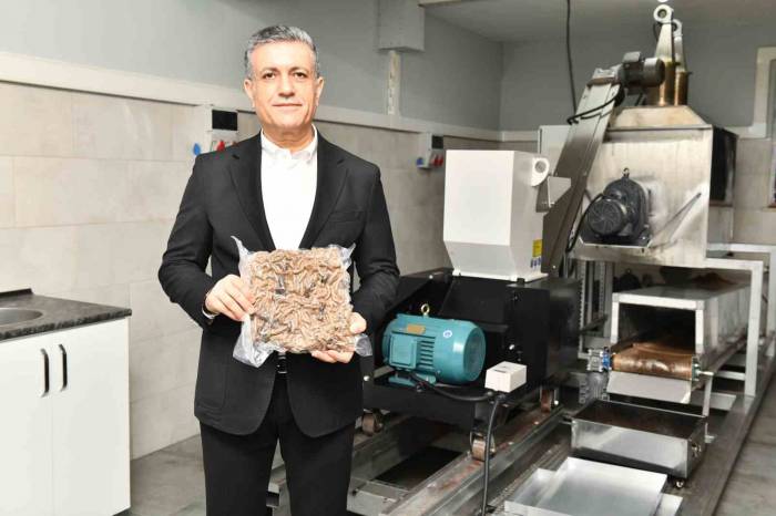 Esenyurt Belediyesi’nden, Sokak Hayvanları İçin Mama Üretim Tesisi