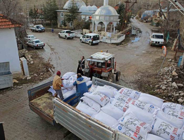 Antalya Büyükşehir’den Besicilere, Yüzde 15’i Hibeli Süt Yemi Desteği Başladı