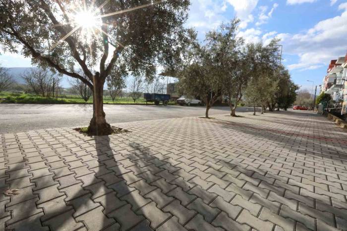 Cumhuriyet Mahallesi Sakinlerinden Filiz Başkan’a Teşekkür