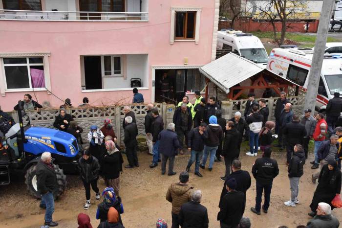 Sakarya’da Acı Olay: Asırlık Çınar, Yanarak Hayatını Kaybetti
