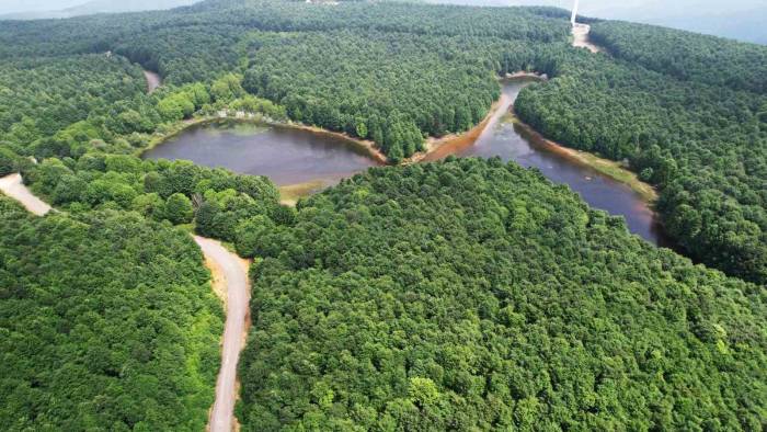 Yalova’nın Yeni Rotası: Doğa Turizmi