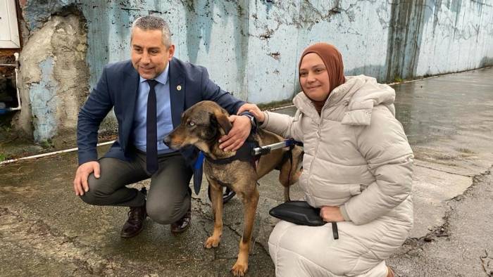 Arabanın Çarptığı Sokak Köpeği Gönüllülerin Desteği İle Hayata Tutundu