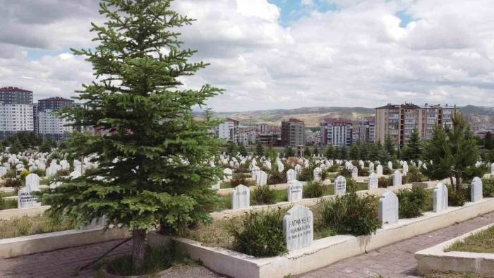 İstanbul Belediyesinde 69 Bin Tl, Sivas Belediyesinde Bedava