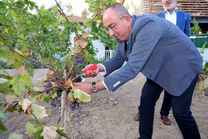 2023’ün En İyi Rotası Meram Bağı