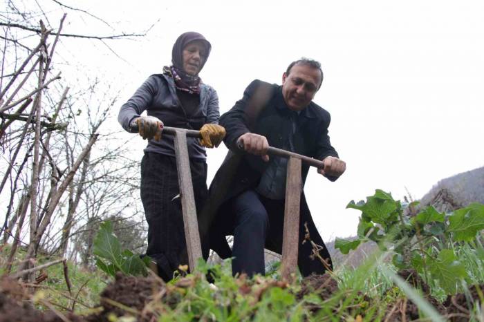 Bağımsız Aday 1 Oy İçin Tarla Belliyor