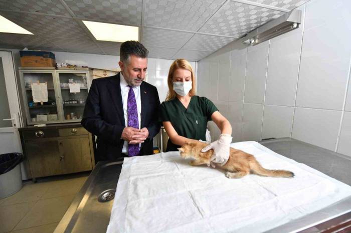 Can Dostlara Sıcak Yuva Ve Mama Desteği