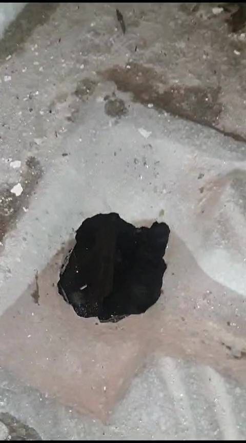 Tuvalet Deliğine Düşen Kediyi İtfaiye Kurtardı