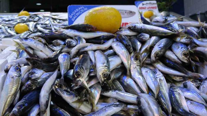 Olumsuz Hava Şartları Sonrası Avlanma Azaldı, Balık Fiyatları 2’ye Katladı