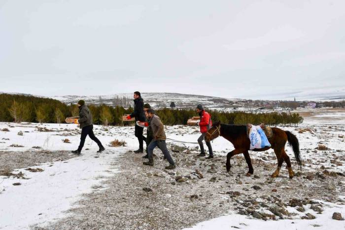 At Sırtında Yaban Hayvanları İçin Doğaya Yem Bırakıldı