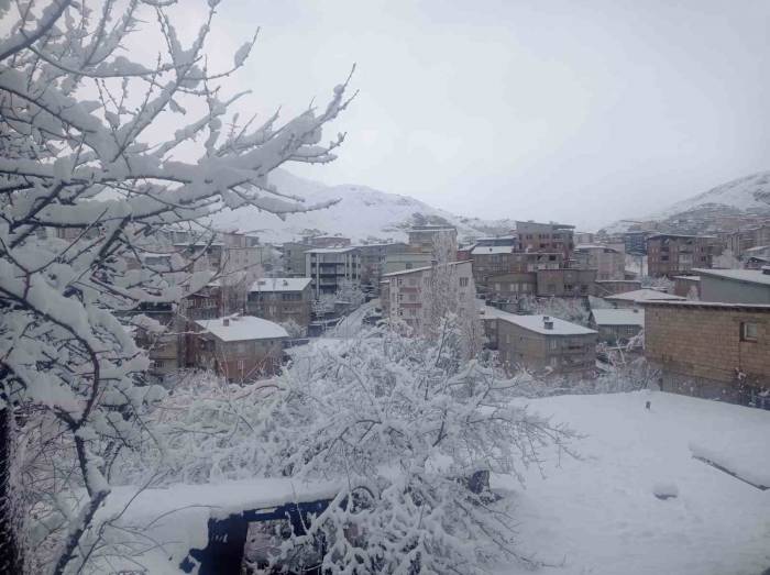 Hakkari Kar Hapsinde: Okullar Tatil Edildi, 284 Yerleşim Yerinin Yolu Kapandı