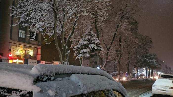 Tatvan’da 4 Köy Yolu Ulaşıma Kapandı