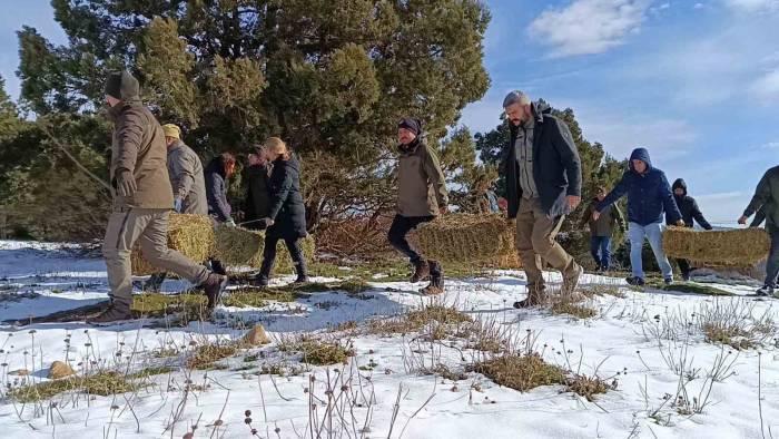 Kar Altındaki Spil’de Yaban Hayatı Unutulmadı