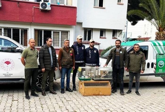Osmaniye’de Yasaklı Kuş Satan İş Yerine 41 Bin 817 Tl Para Cezası