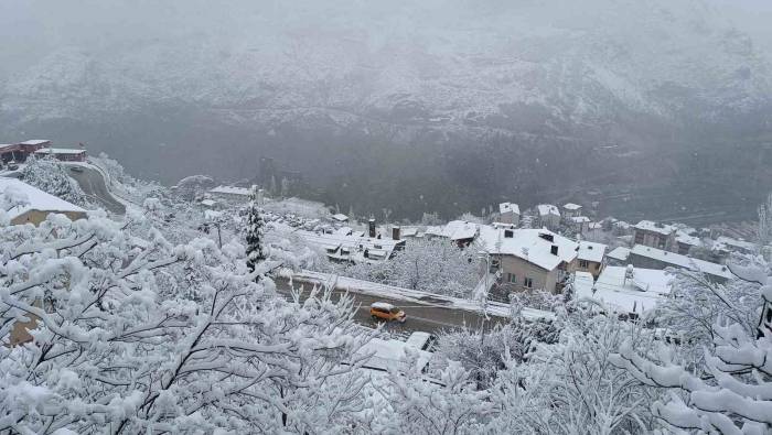 Artvin’de Yoğun Kar Yağışı Hayatı Olumsuz Etkiliyor