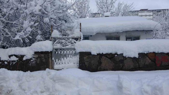 Kar Bitlis’i Esir Aldı