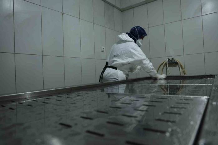 Diyarbakır’da Görevli Kadın Gassal: “Depremde Bütün Bir Aileyi Almak Bizi Çok Etkiliyordu”