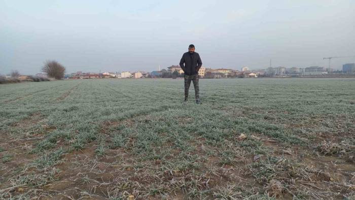 Edirne’de Tarım Arazileri Buz Tuttu