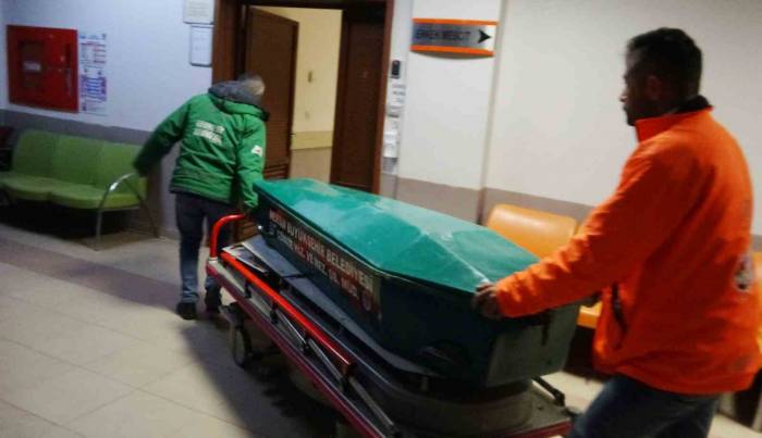 Kesilen Ağacın Altında Kalan Çiftçi Hayatını Kaybetti