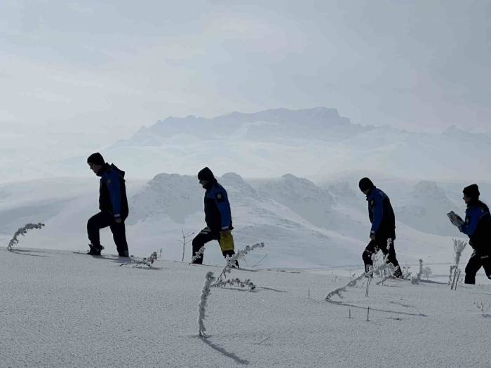 Yüksekova Polisi Hayvanlar İçin Doğaya Yem Bıraktı