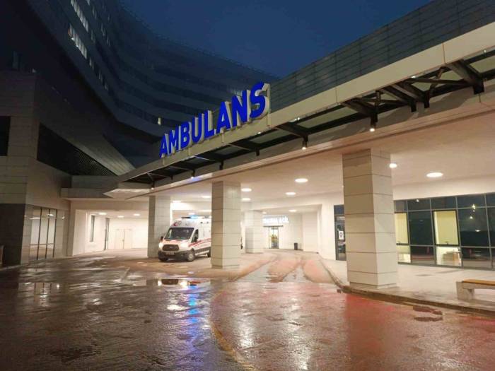 Sokak Köpeğinin Saldırısına Uğrayan Çocuk Ölümden Döndü