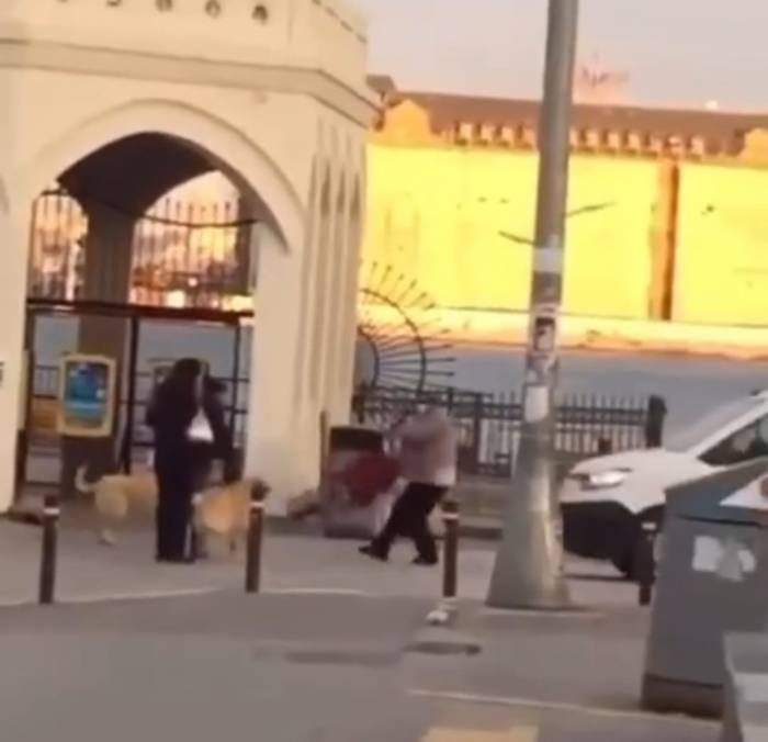 Kadıköy’de Yaşlı Kadına Köpekler Saldırdı