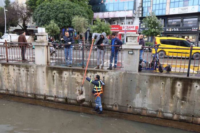 Marmaris Belediyesi Karadere’de Biriken Atıkları Temizledi