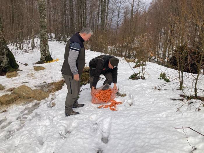 Bursa’da Yaban Hayvanlarına Yem Desteği