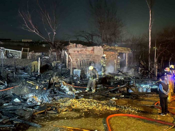 Başakşehir’de Ahırda Çıkan Yangında 3 Hayvan Telef Oldu