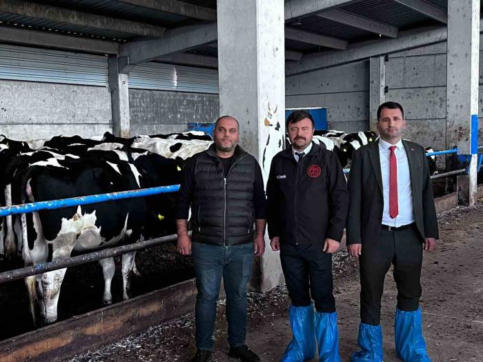 Eskişehir Damızlık Sığır Yetiştiriciler Birliği’ne ’hastalıktan Ari İşletme Sertifikası’