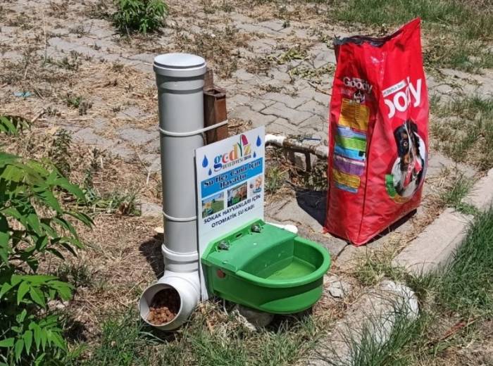 Gediz’de Sokak Hayvanları Unutulmadı